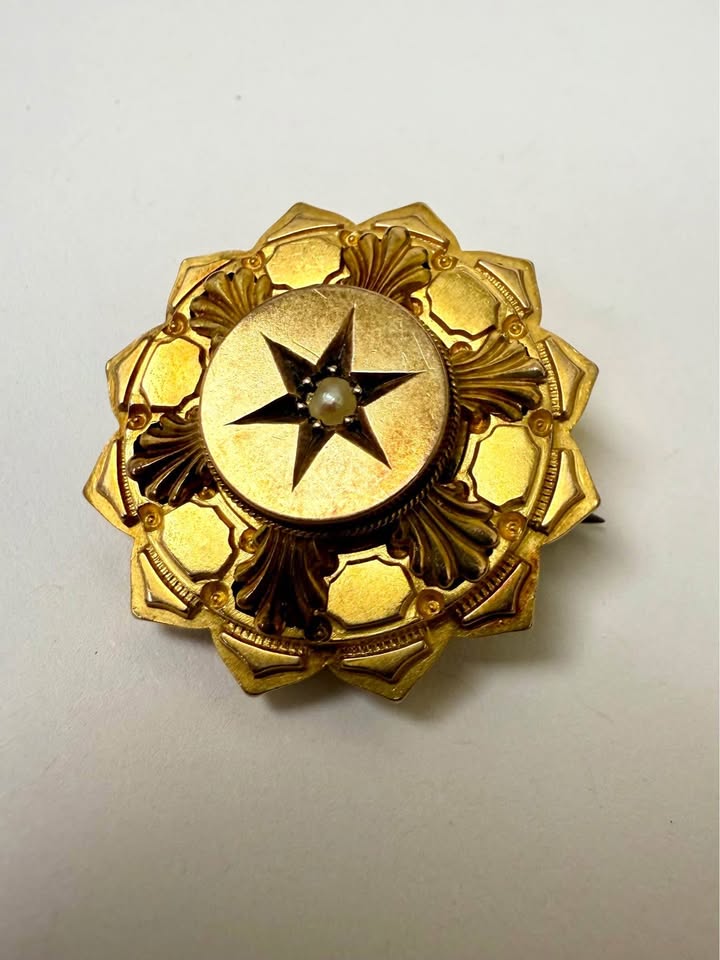 Art Nouveau French 15Karat Gold Pin/Pendant