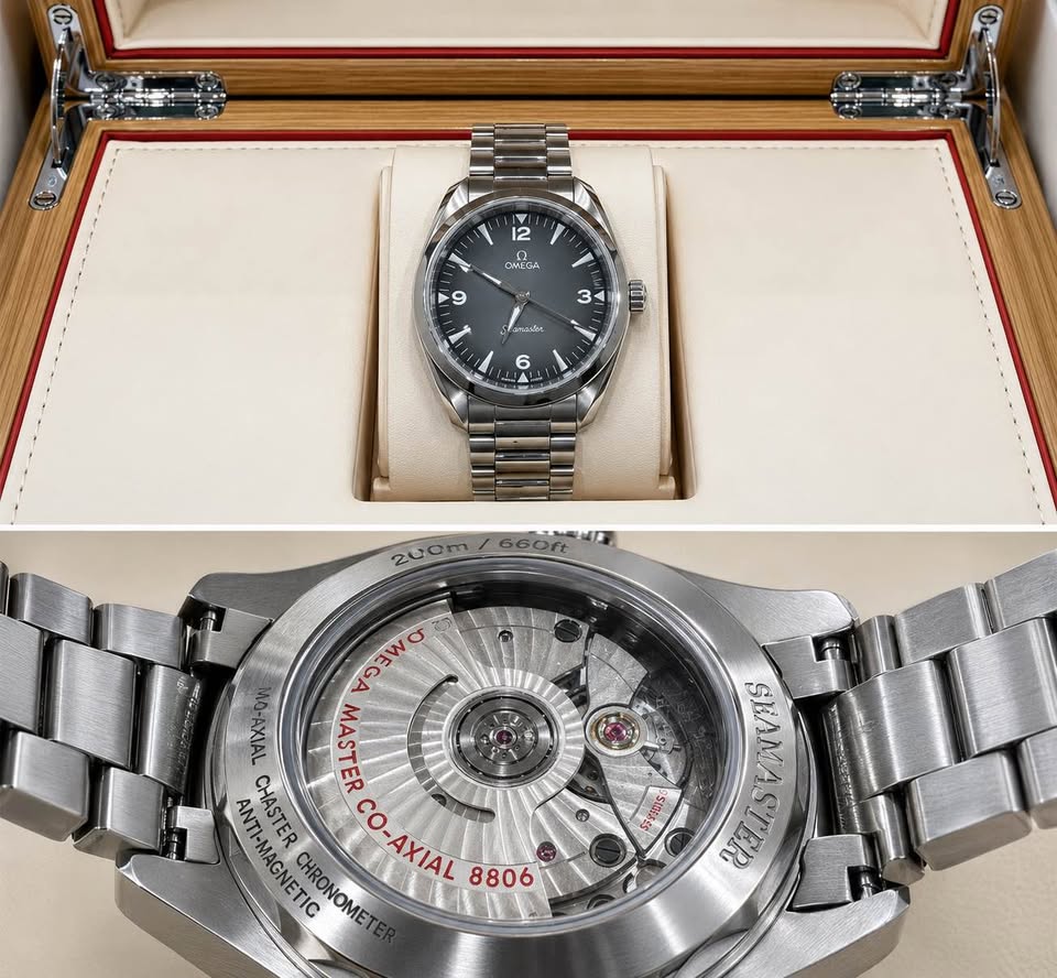 Omega Seamaster Railmaster 38mm 2026
