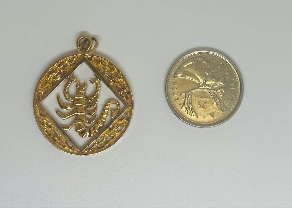 Scorpio Gold Zodiac Pendant in 10k Solid Gold 30mm Diameter