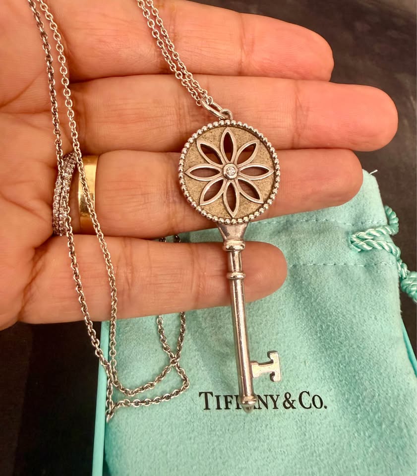 Tiffany Co Silver Diamond Nature Daisy Flower XL Key Necklace Pendant Chain 28”