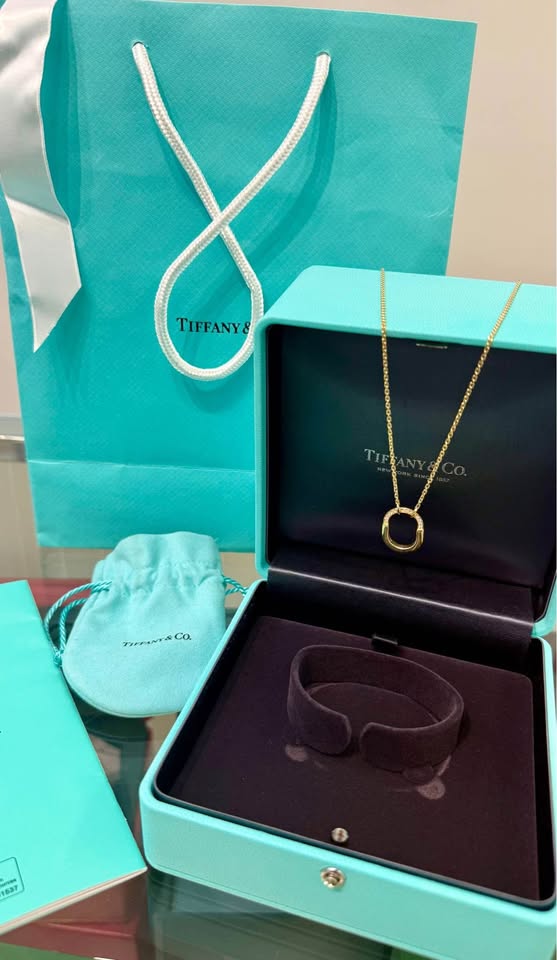 Tiffany & Co Small Lock 18k Yellow Gold Natural Diamonds Pendant - Full set