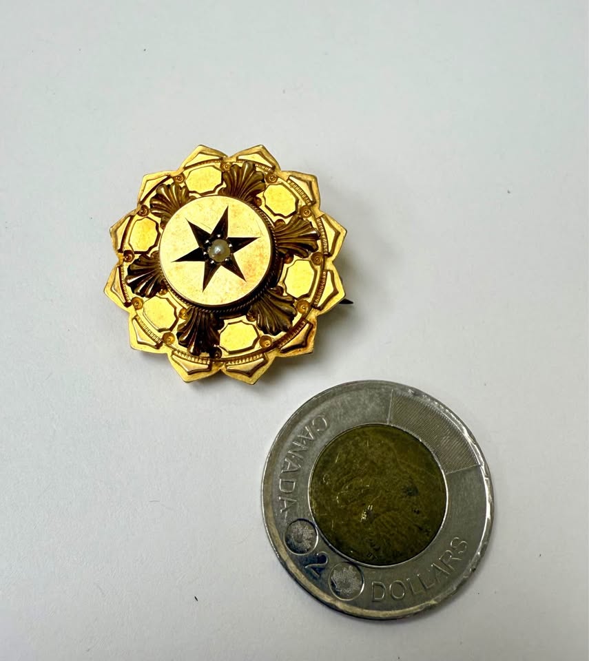 Art Nouveau French 15Karat Gold Pin/Pendant