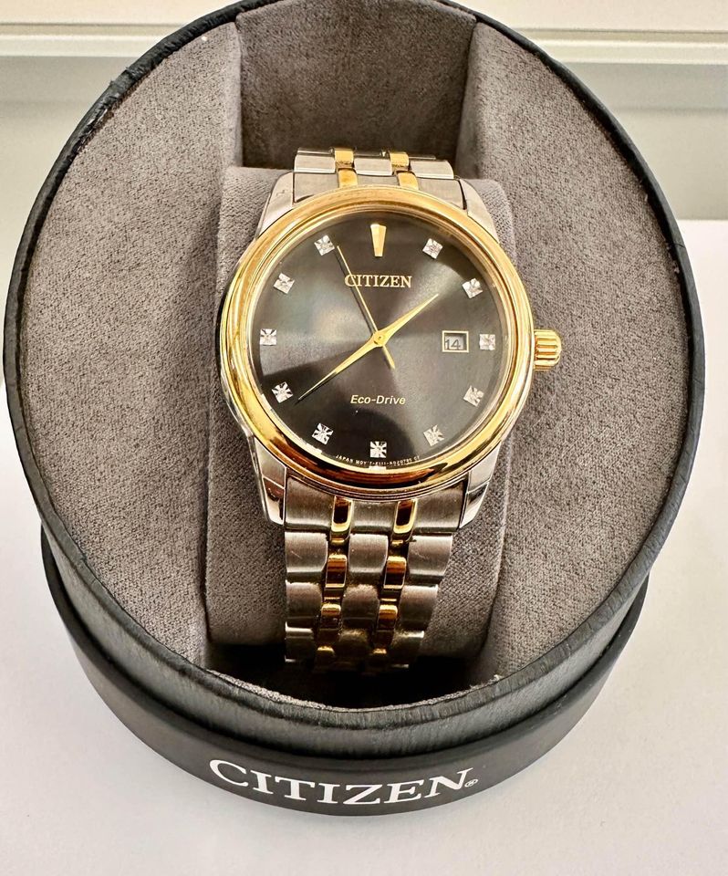 Men’s Two Tone, Natural Diamonds Citizen Eco-Drive Watch