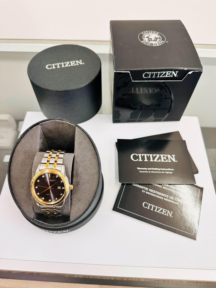 Men’s Two Tone, Natural Diamonds Citizen Eco-Drive Watch