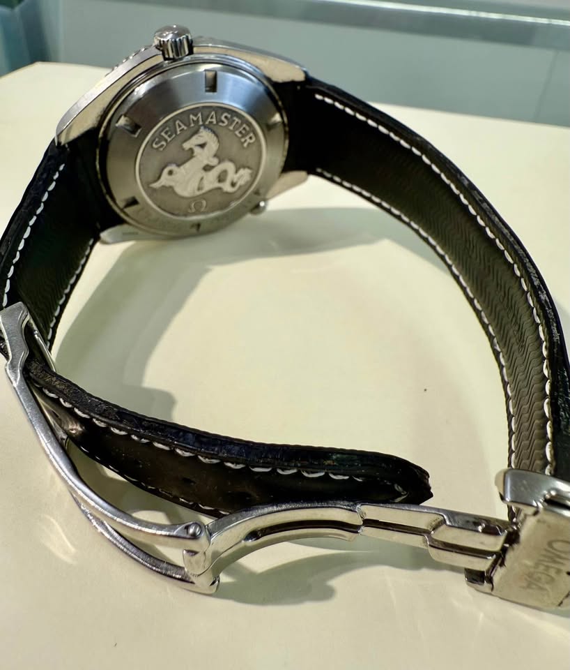 OMEGA Seamaster Planet Ocean 600M Co-Axial
