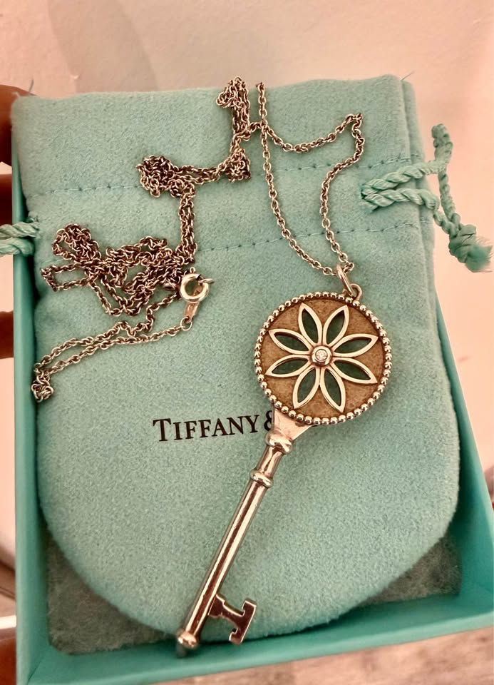 Tiffany Co Silver Diamond Nature Daisy Flower XL Key Necklace Pendant Chain 28”