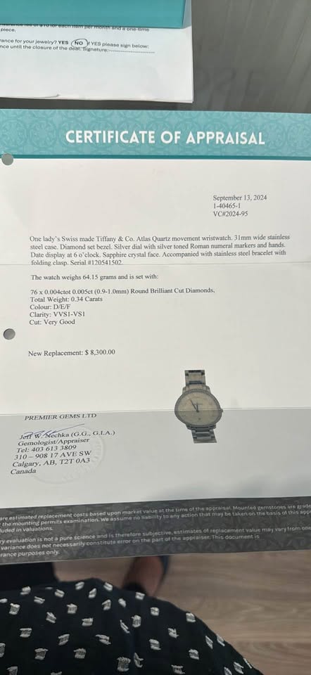 Tiffany & Co Diamond Watch