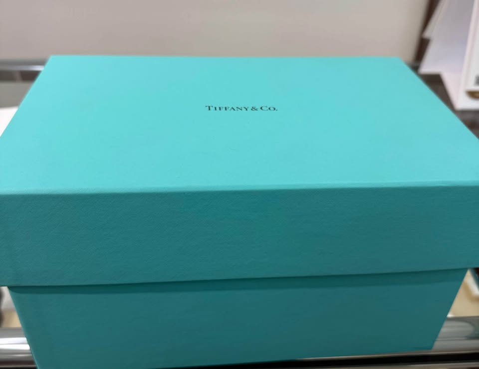 Tiffany & Co Diamond Watch